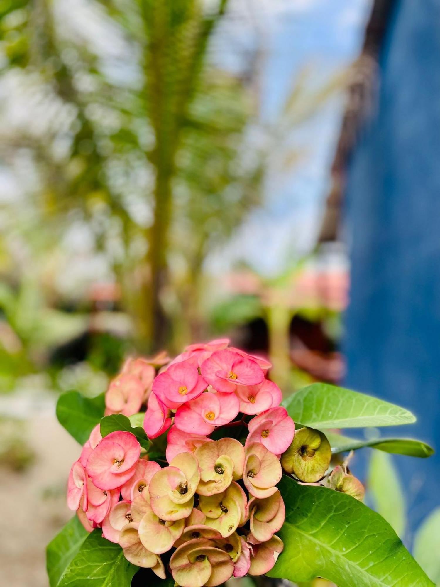 Un Dia Boutique Resort Playas Esterno foto